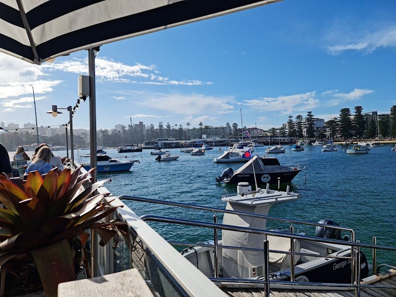 Manly 16ft Skiff Sailing Club photo 9