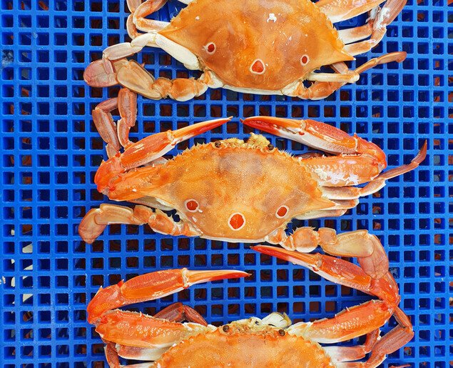 Gold Coast Fishermens Co-Operative Limited photo 4