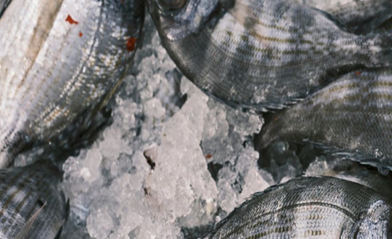 Adelaide Seafood photo 2